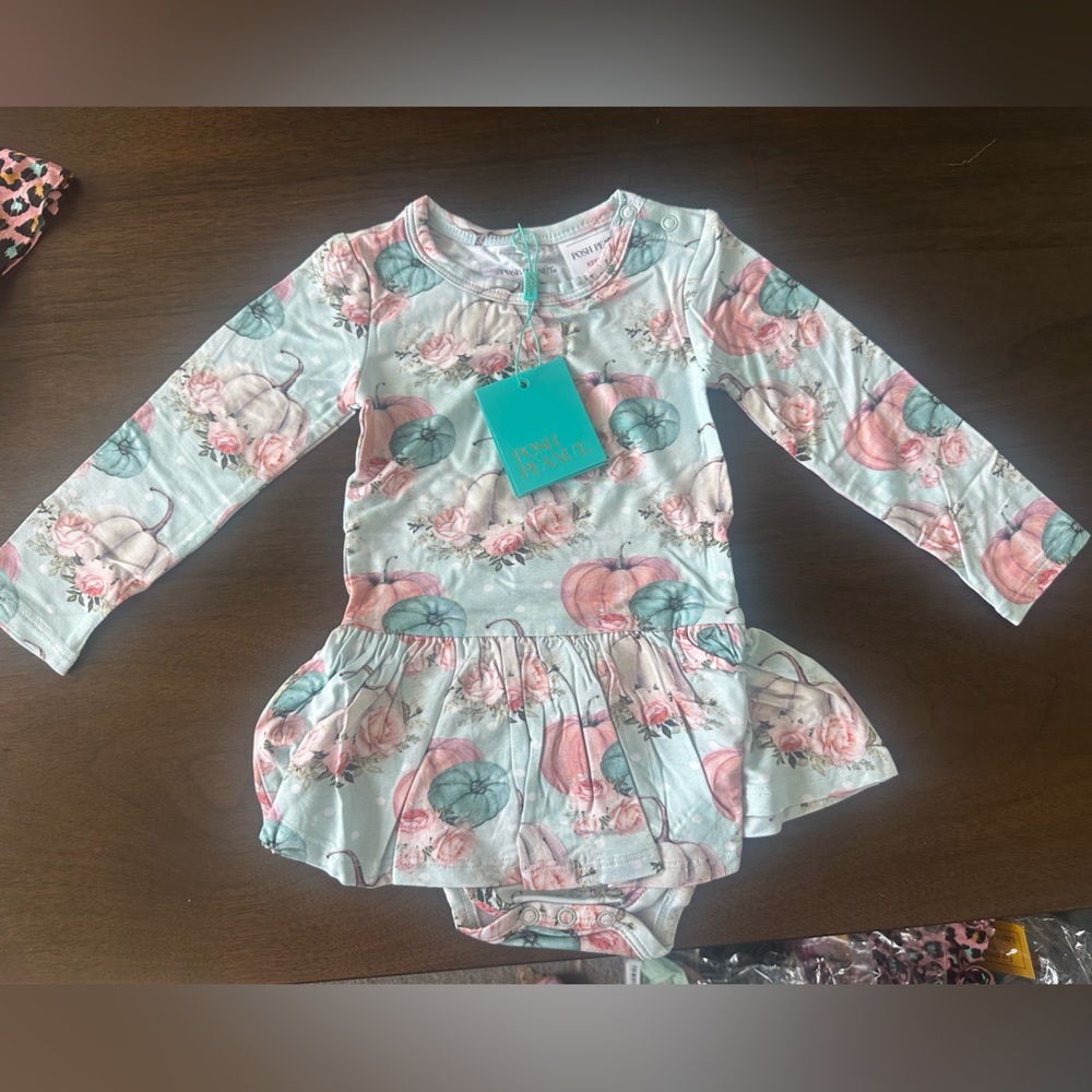 Posh Peanut Mint and Pink Floral Pumpkin Skirted Bodysuit